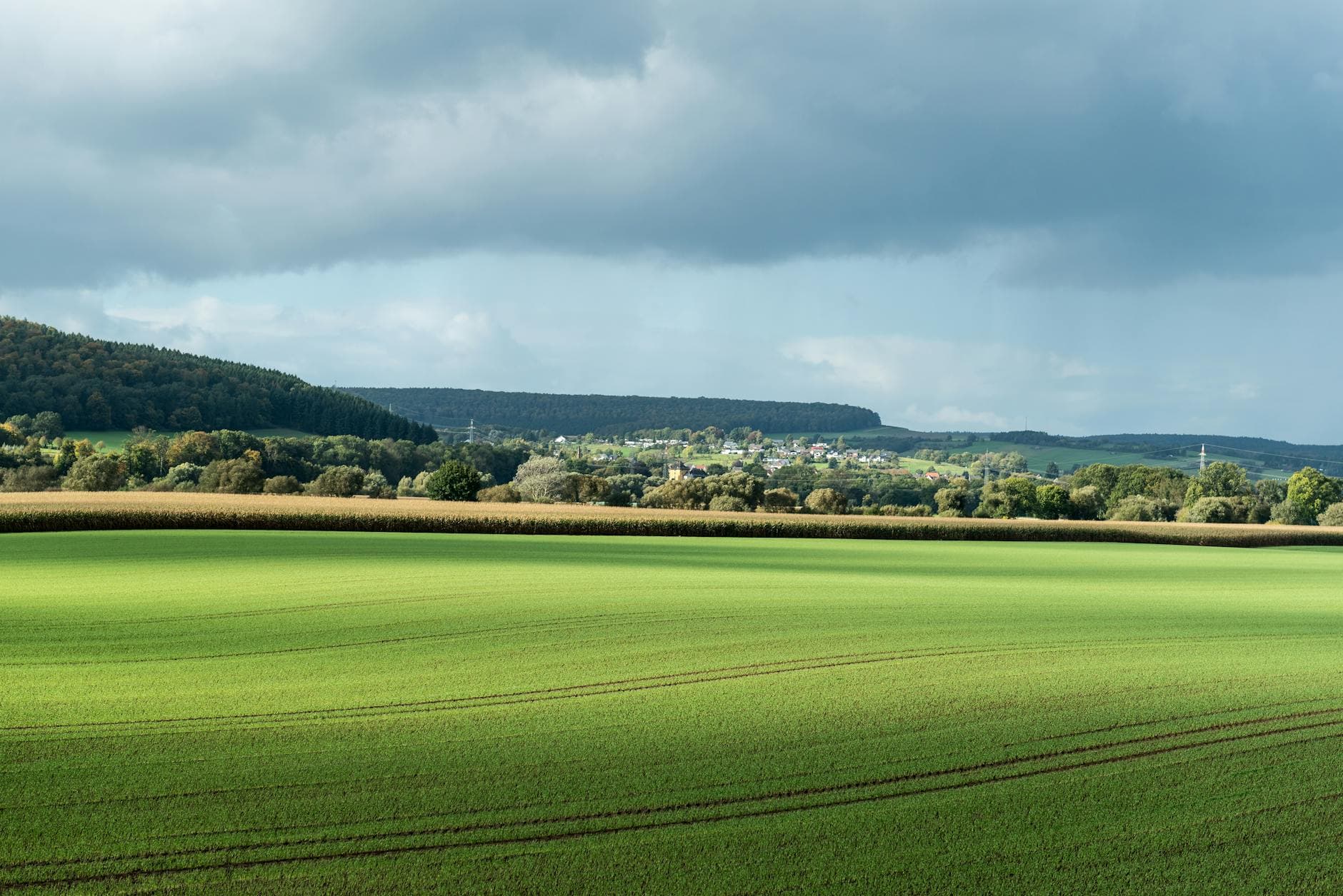 Lush green fields under a cloudy sky in the rural landscape of Höxter, NRW, Germany.