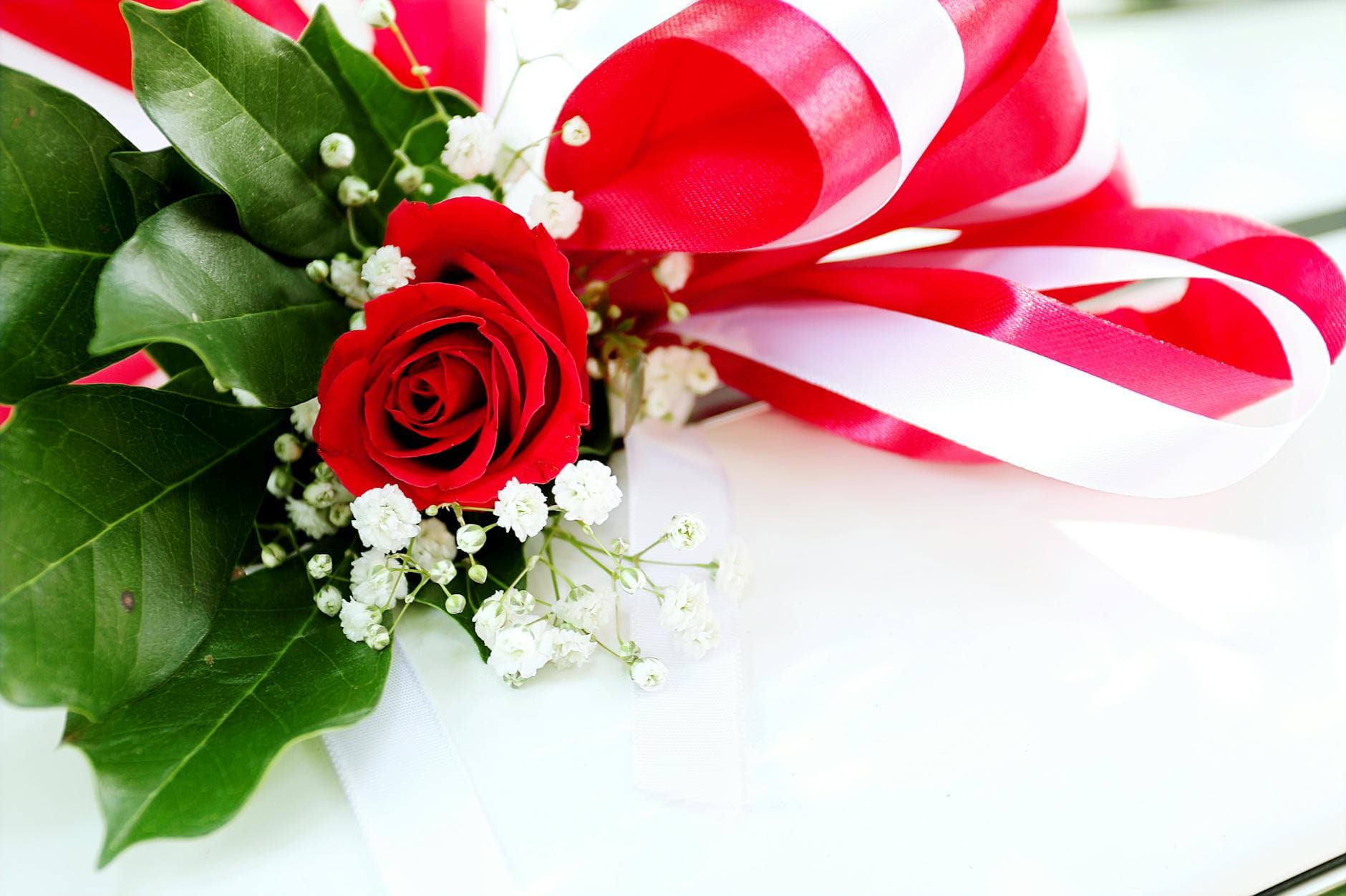 Close-up of a red rose with ribbons and baby's breath, perfect for celebrations.